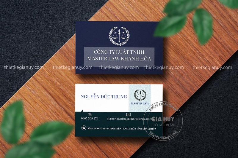 thiet ke card visit sang trong