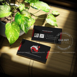card visit hoai nam
