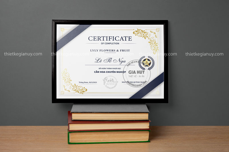 da dang ve chat lieu va kich thuoc