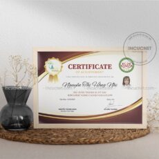 Mẫu Certificate Sang Trọng Sáng Tạo Mẫu Certificate Sang Trọng Sáng Tạo